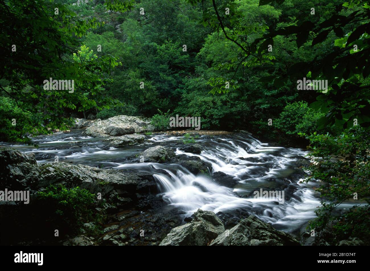 Little Missouri Falls, Little Missouri Wild & Scenic River, Ouachita National Forest, Arkansas Stockfoto