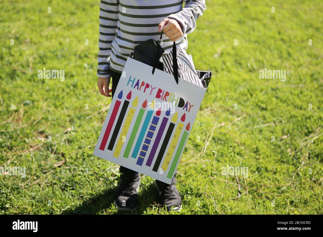 Kinder, die Geburtstags-Geschenktasche auf dem Rasenplatz tragen Stockfoto