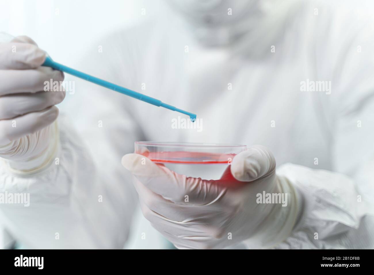 Kompetenter Forscher, der im Labor Blut-Know-how macht Stockfoto