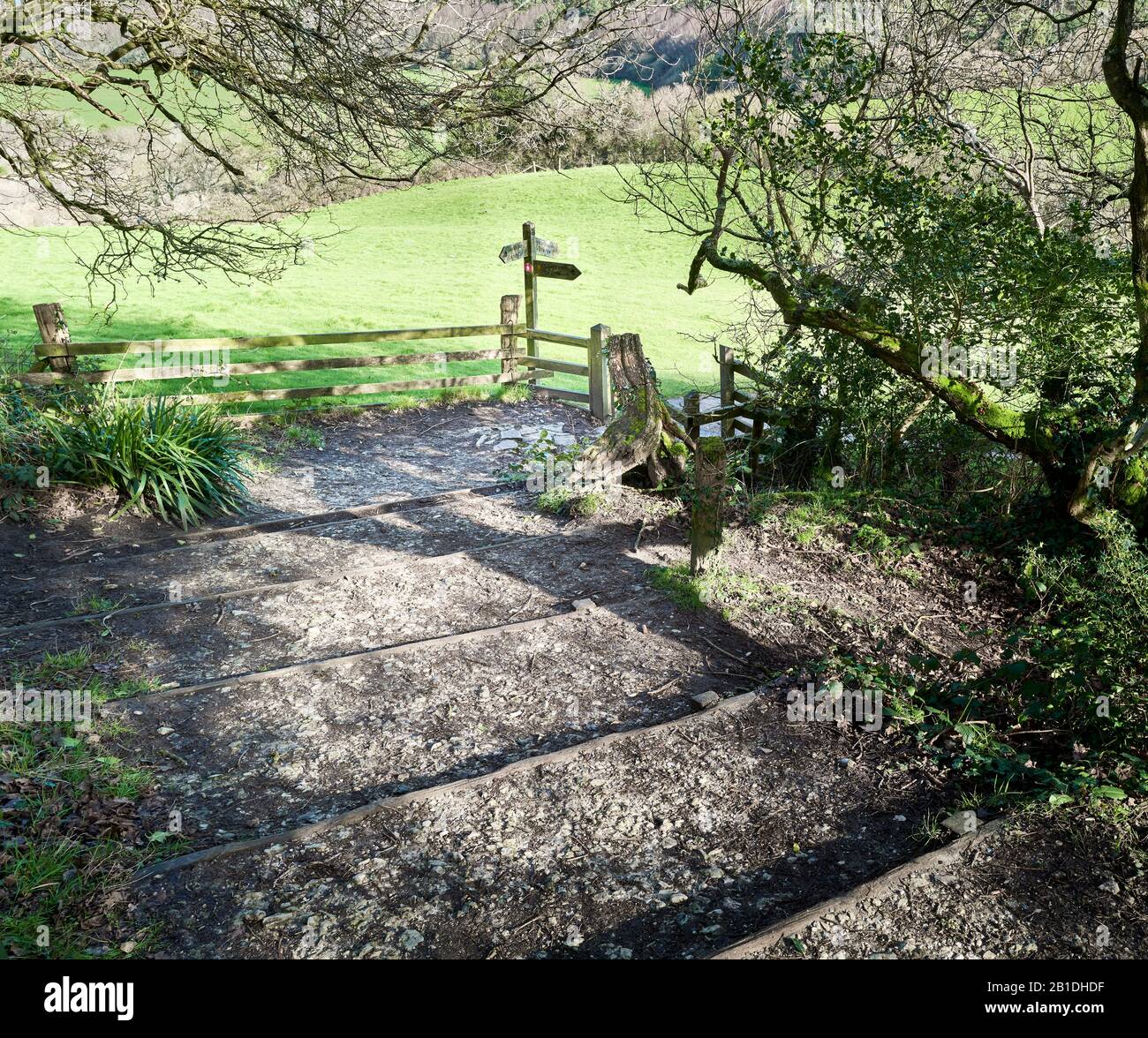 Wegweiser auf dem Fußweg zu und von Golden Cap, dem höchsten Punkt an der Südküste Englands. Stockfoto