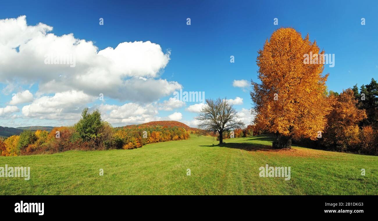 Herbst Panorama mit Wald an einem Tag Stockfoto
