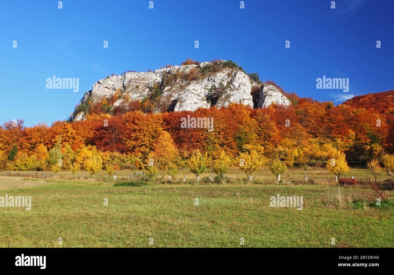 Herbst Landschaft mit bunten Wald und blauer Himmel Stockfoto