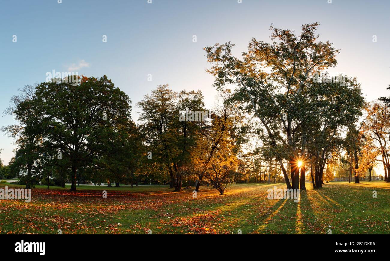Herbst Park - Panorama mit Sonne bei Sonnenuntergang Stockfoto