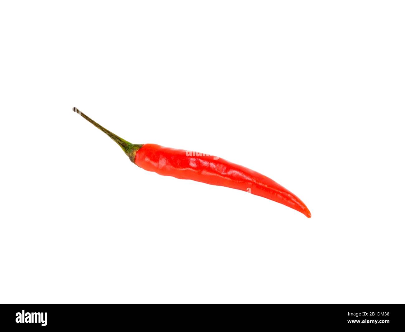Rote Chilischote isoliert auf weißem Hintergrund. Indische Küche, Ayurveda, Naturheilkonzept Stockfoto
