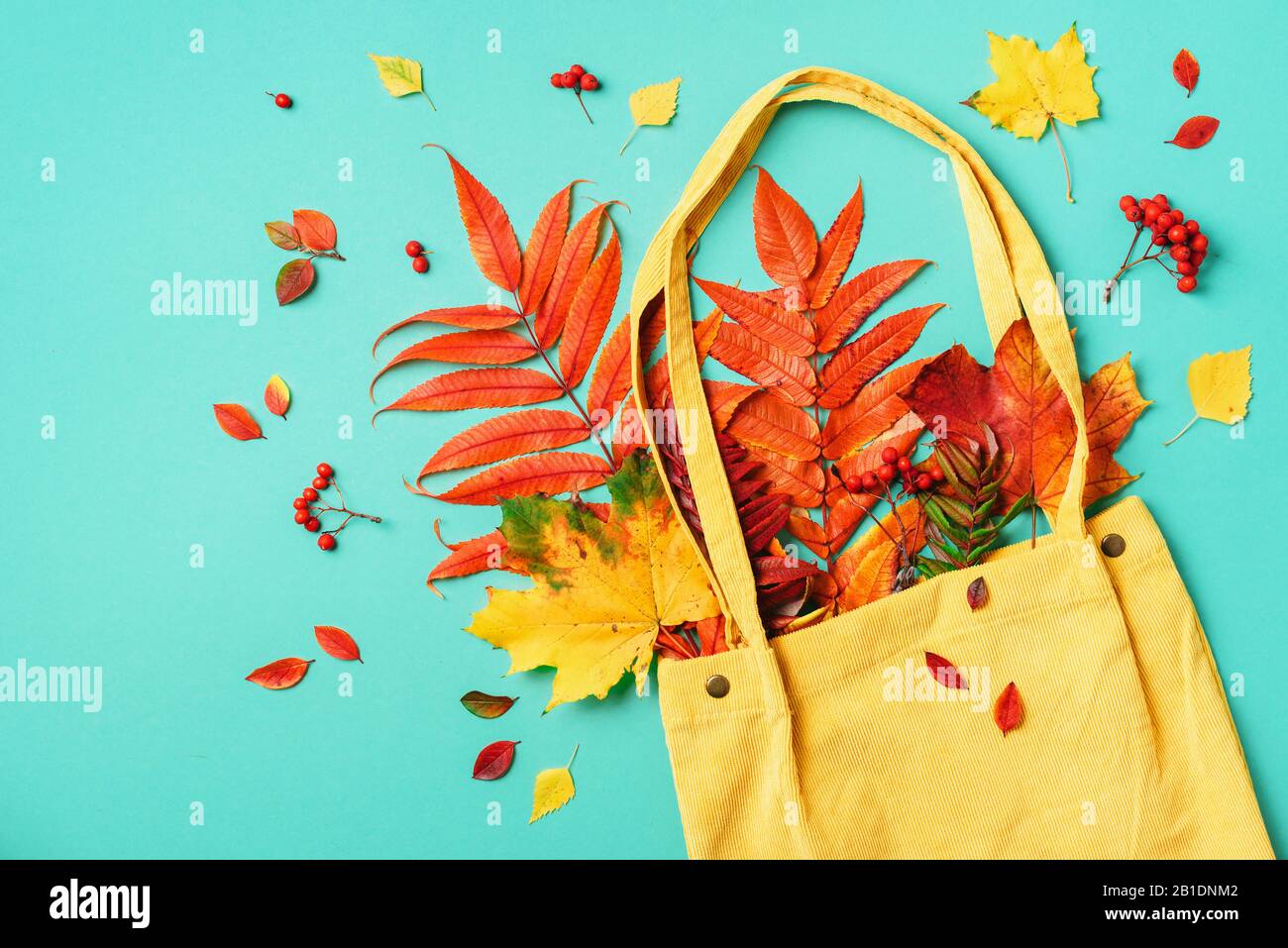Herbst-Flachlaienzusammensetzung. Trockener Ahorn im Herbst in blauer Einkaufstasche auf gelbem Hintergrund. Draufsicht. Kopierbereich. Flaches Lay Stockfoto