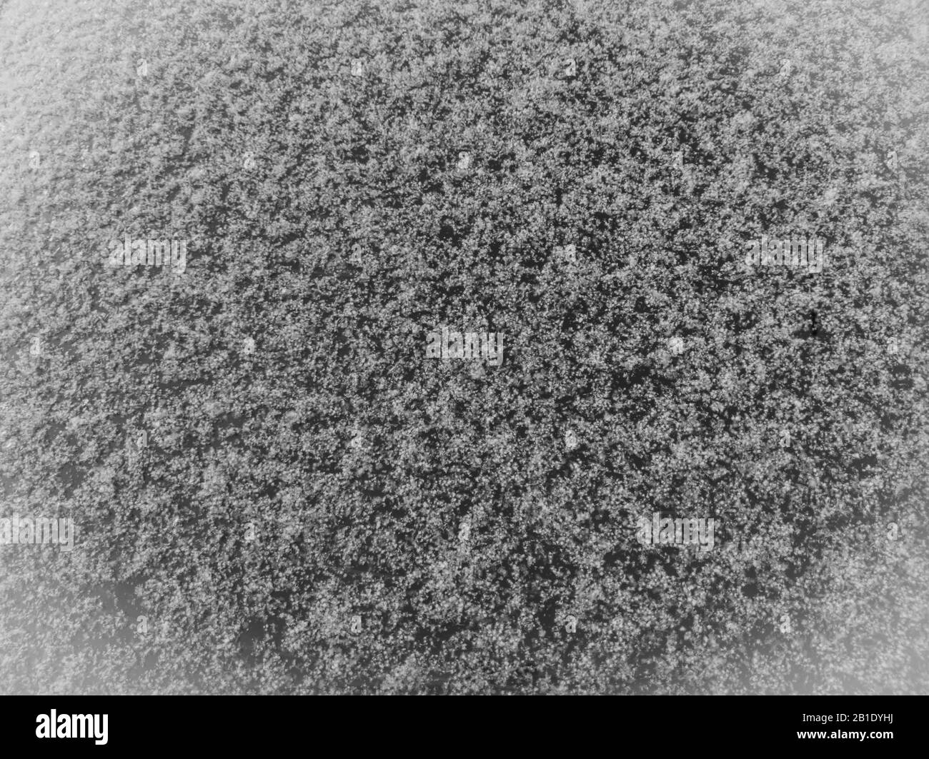 Schnee auf dem Glasfenster. Winterhintergrund. Weicher Fokus. Foto mit Vignettierung. Stockfoto