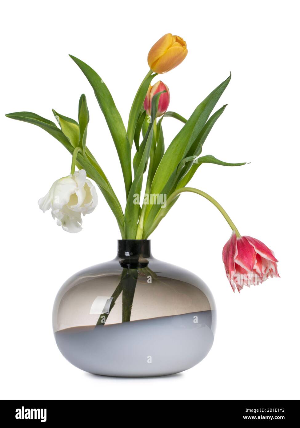 Blumenstrauß aus diffusen Arten und Farbtulips in Glasvase. Isoliert auf weißem Hintergrund. Stockfoto