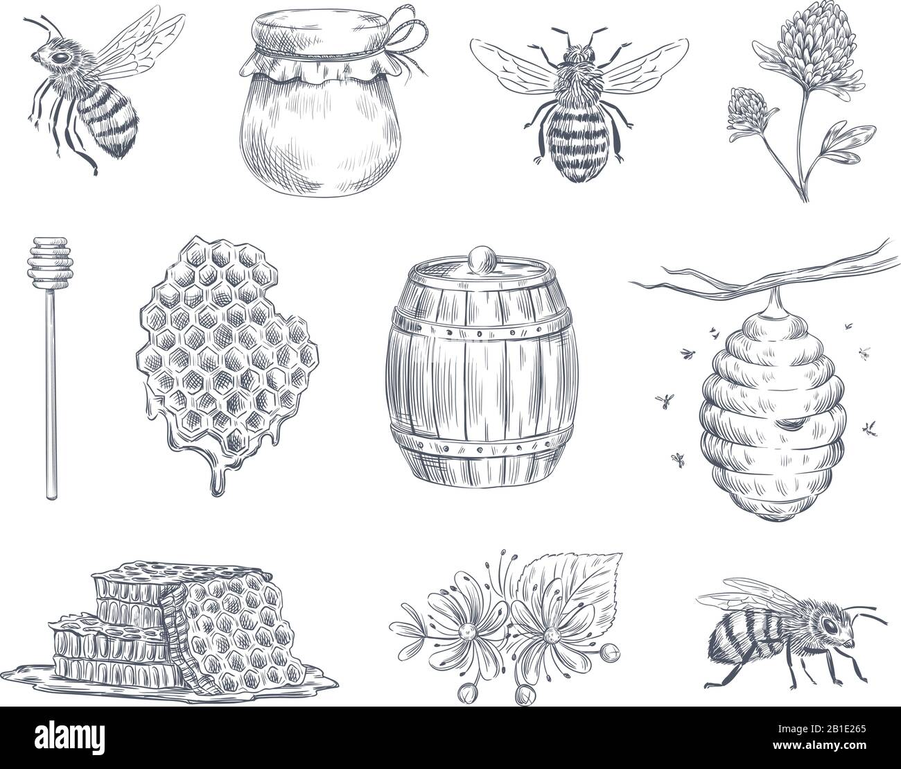 Bienengravur. Honigbienen, Imkerei und Honigwabe Vintage handgezeichnete Vektorgrafiken Stock Vektor