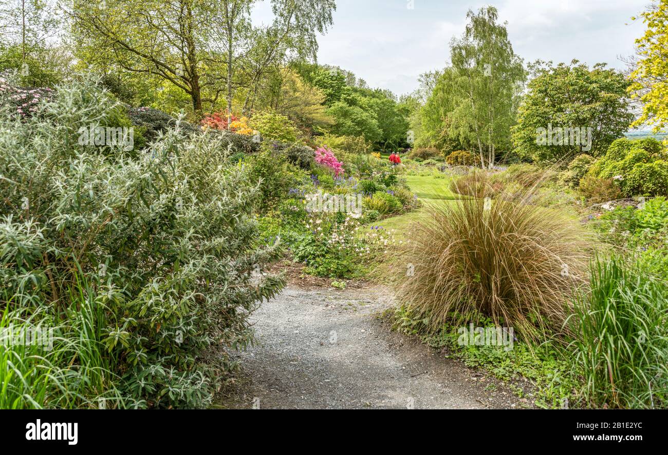 Sommergarten am den Garten Haus, Yelverton, Devon, England Stockfoto
