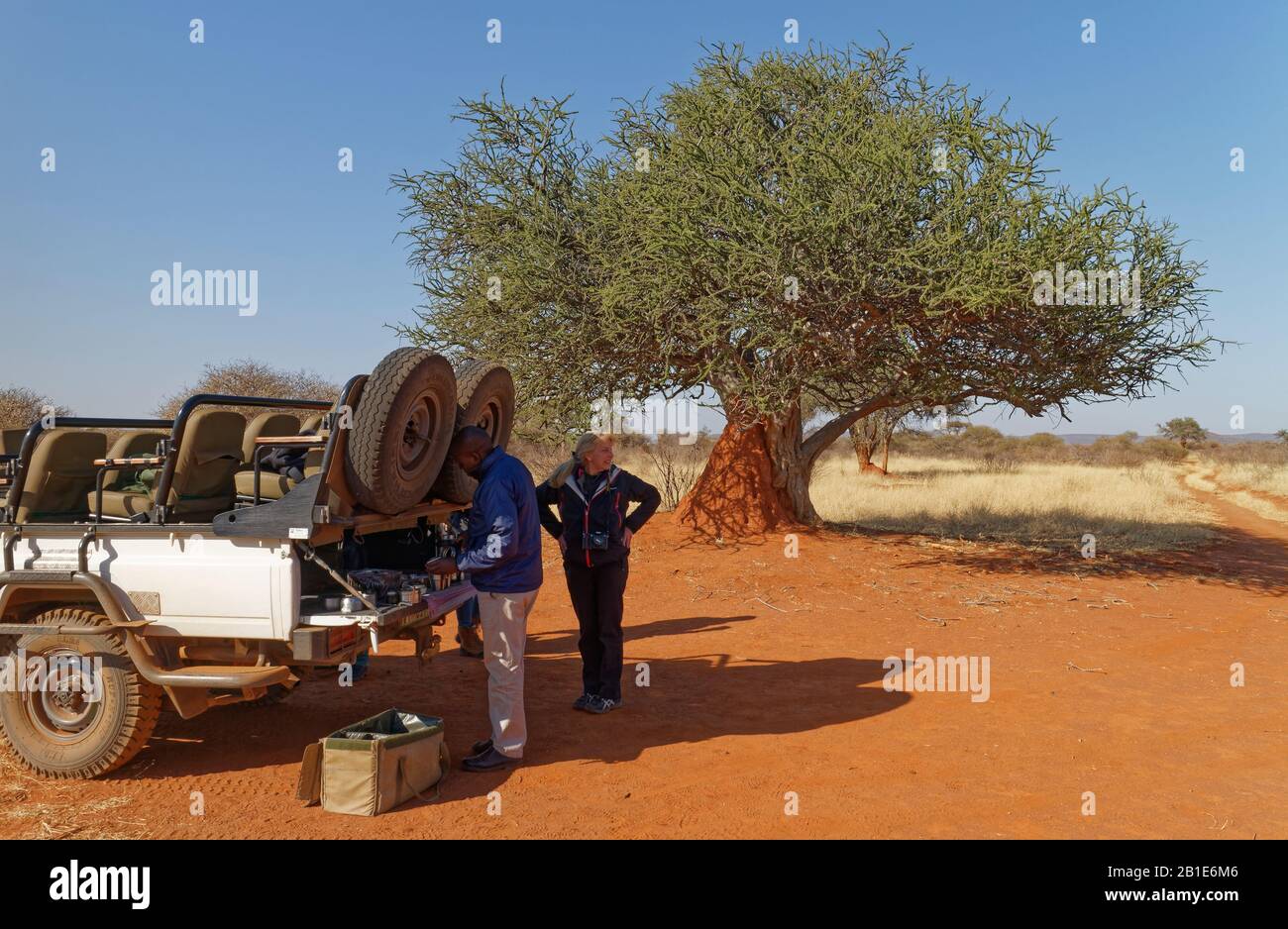 Das Frühstück wird für eine weibliche Touristin auf der Heckklappe eines Toyota Landcruiser Safari Fahrzeugs in der Madikwe Game Reserve in Südafrika vorbereitet. Stockfoto