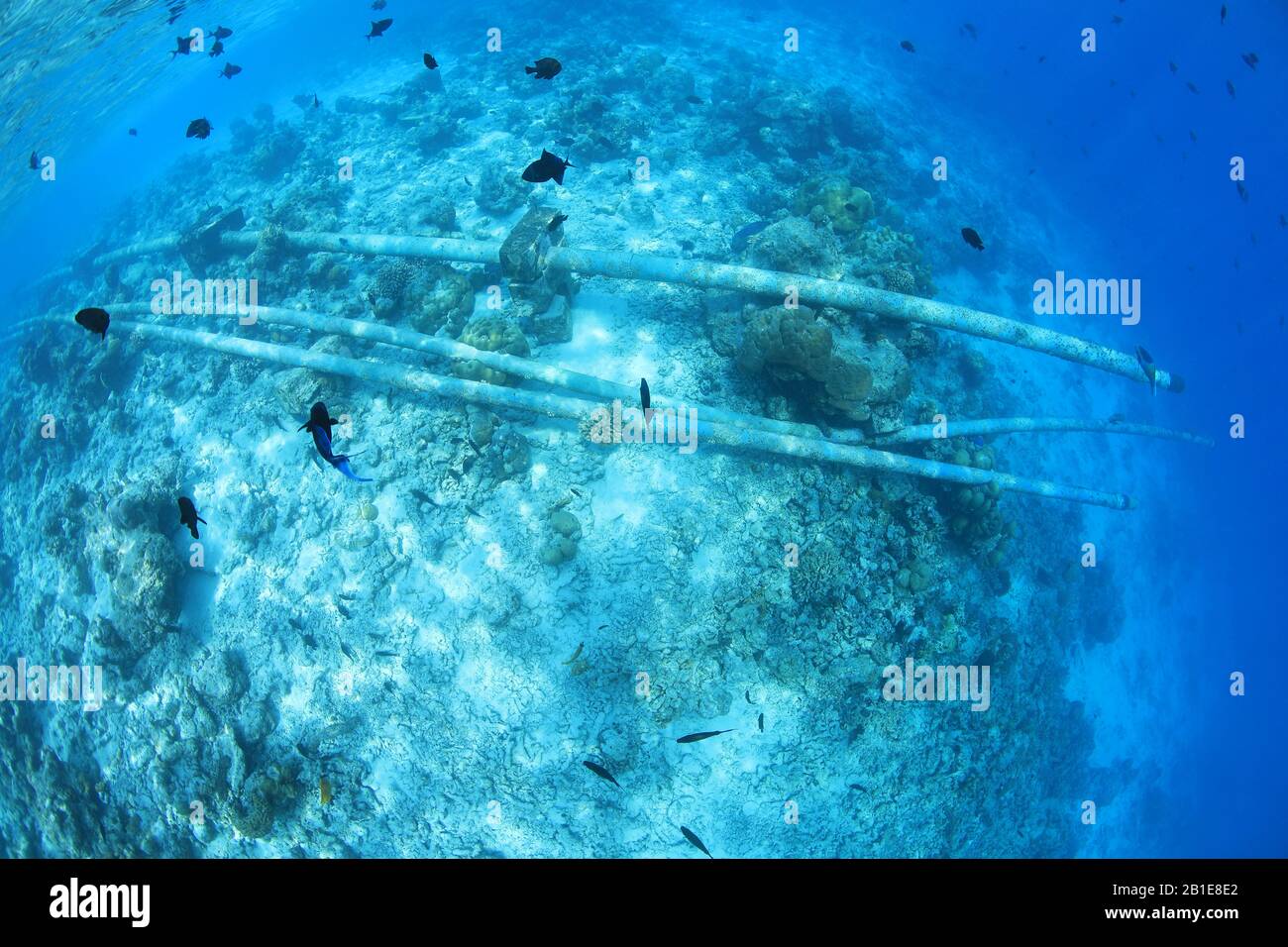 Abwasserrohre unter Wasser im tropischen Korallenriffe des indischen Ozeans Stockfoto