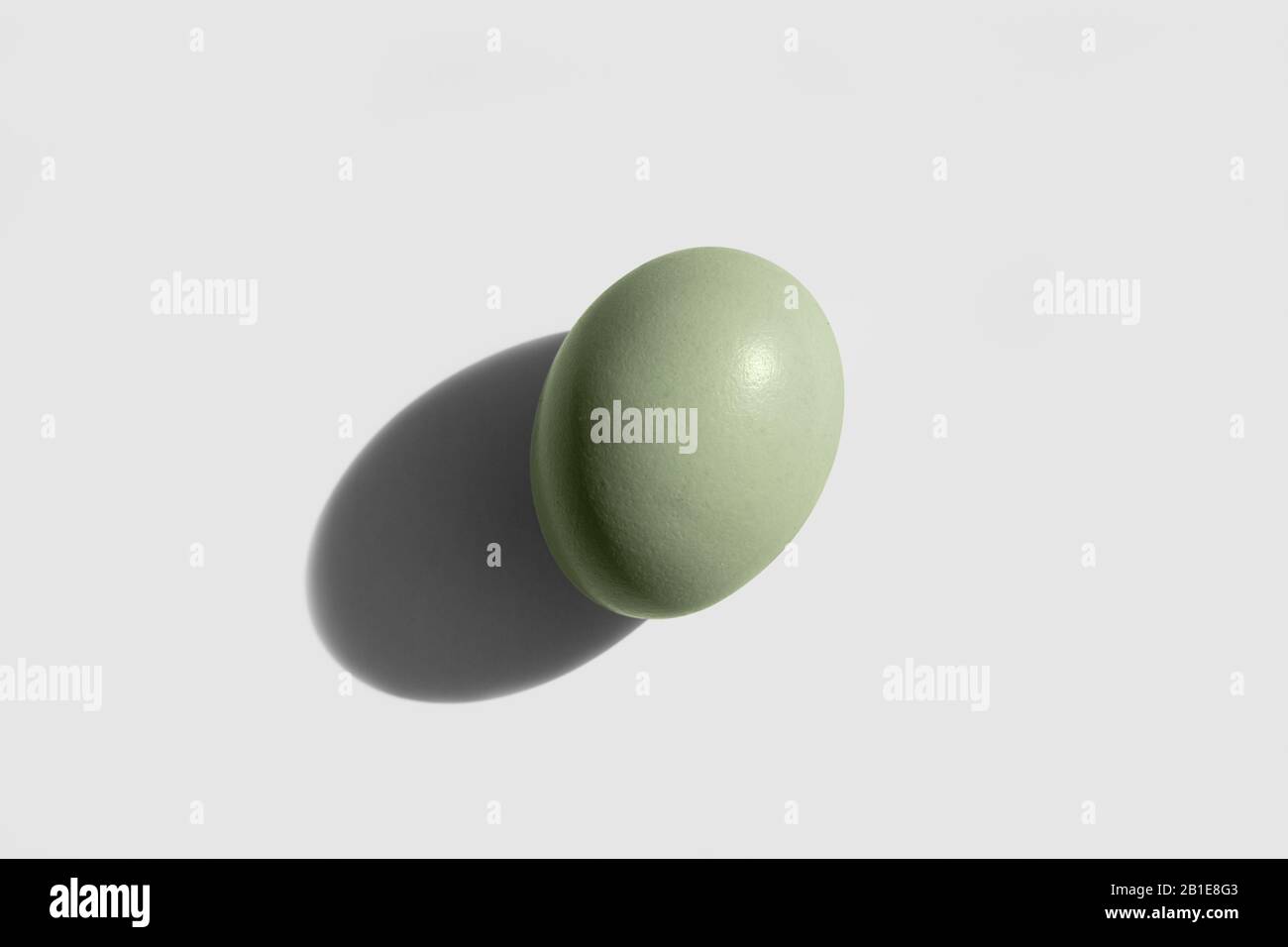 Araucana-Ei isoliert auf weißem Hintergrund. Blaue oder grüne Eier von Araucana-Hähnchen Stockfoto