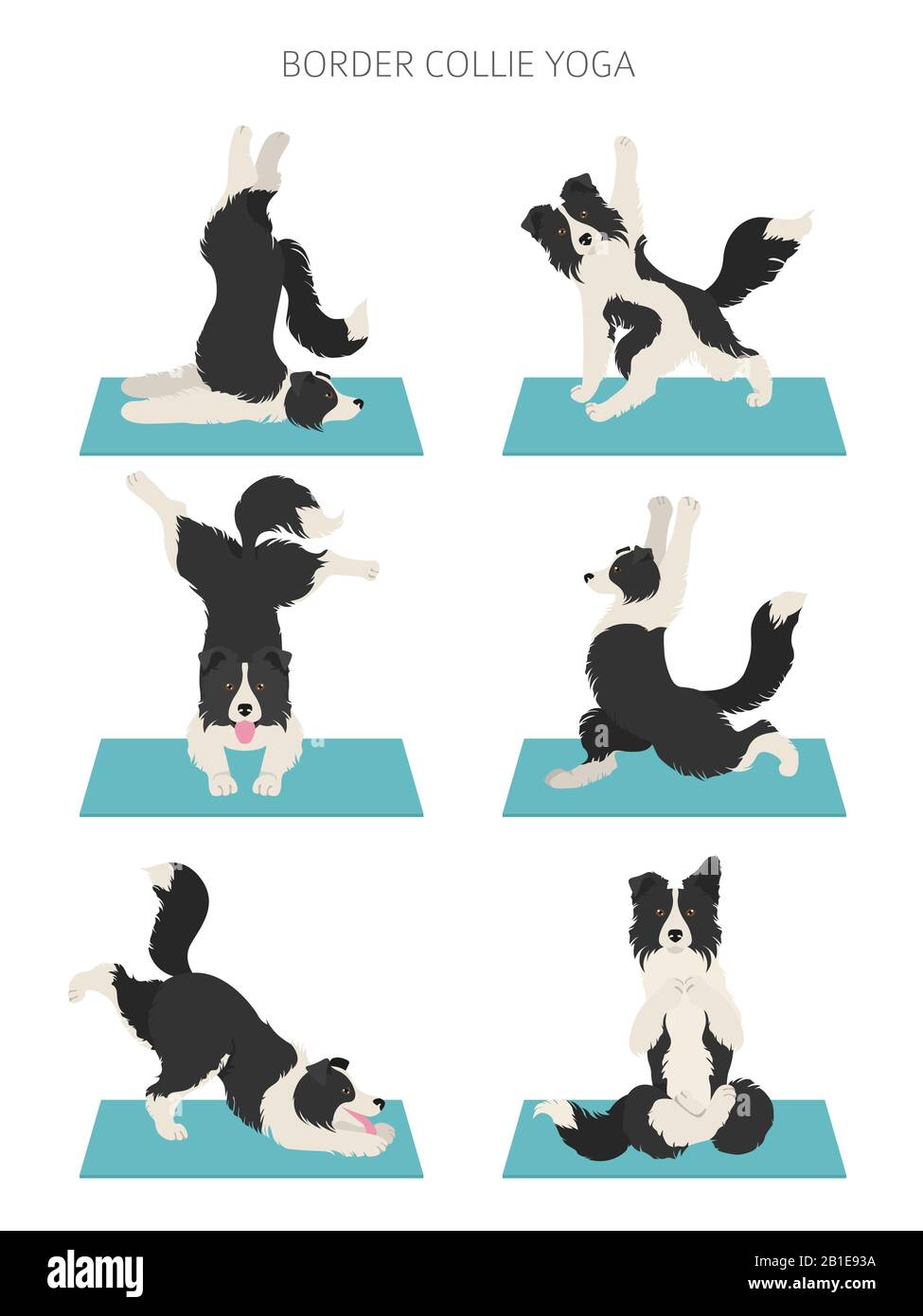 Yoga-Hunde posieren und trainieren das Plakatdesign. Clipart für Grenzkollie. Vektorgrafiken Stock Vektor