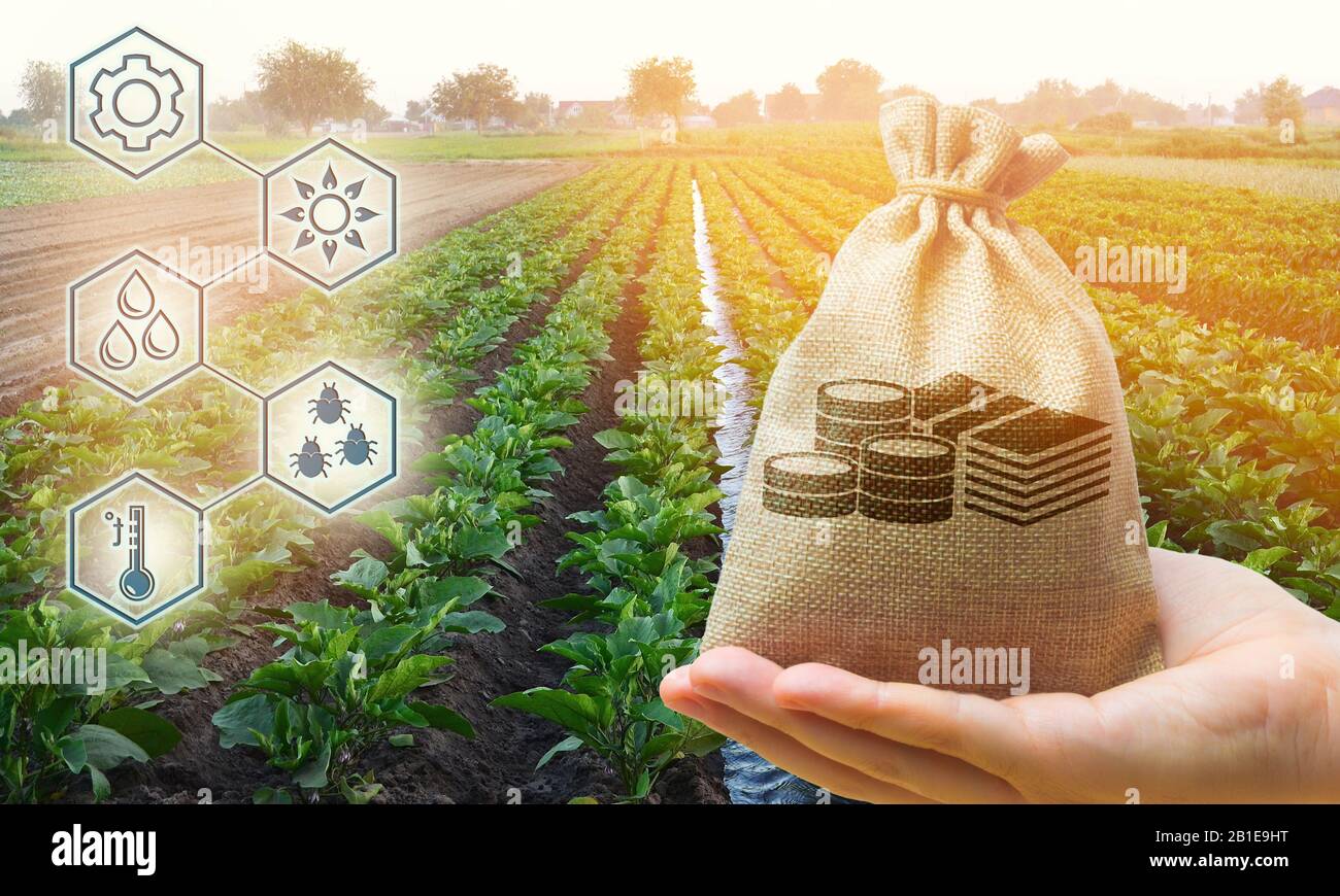 Geldbeutel vor dem Hintergrund der landwirtschaftlichen Nutzpflanzen in der Hand des Bauern. Agrarstarts. Profitieren Sie von Agribusiness. Entwicklung von innovatio Stockfoto