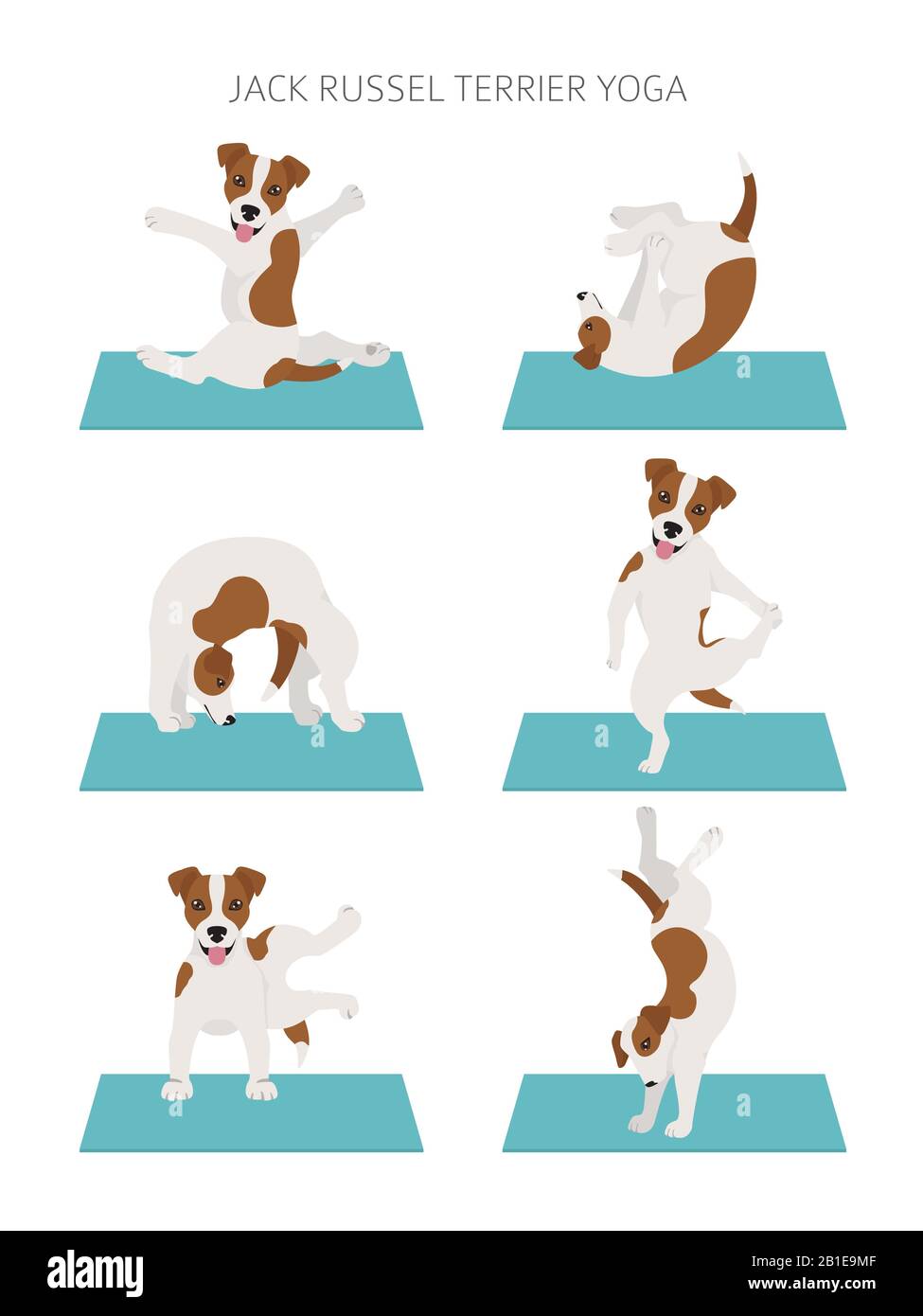 Yoga-Hunde posieren und trainieren das Plakatdesign. Jack Russel Terrier Clipart. Vektorgrafiken Stock Vektor