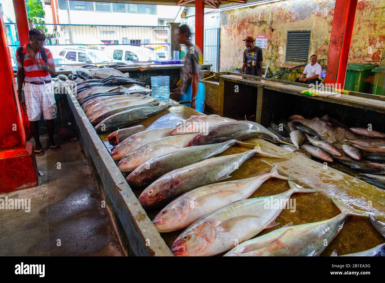 Im Victoria Fischmarkt auf der Mahe Insel, Seychellen. Stockfoto