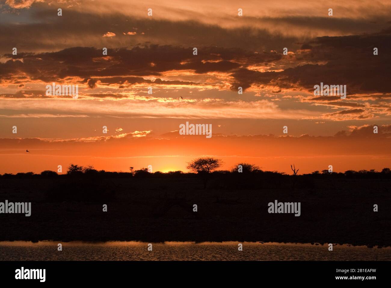Sonnenuntergang am Etosha, in Namibia, im Etosha National Park Stockfoto