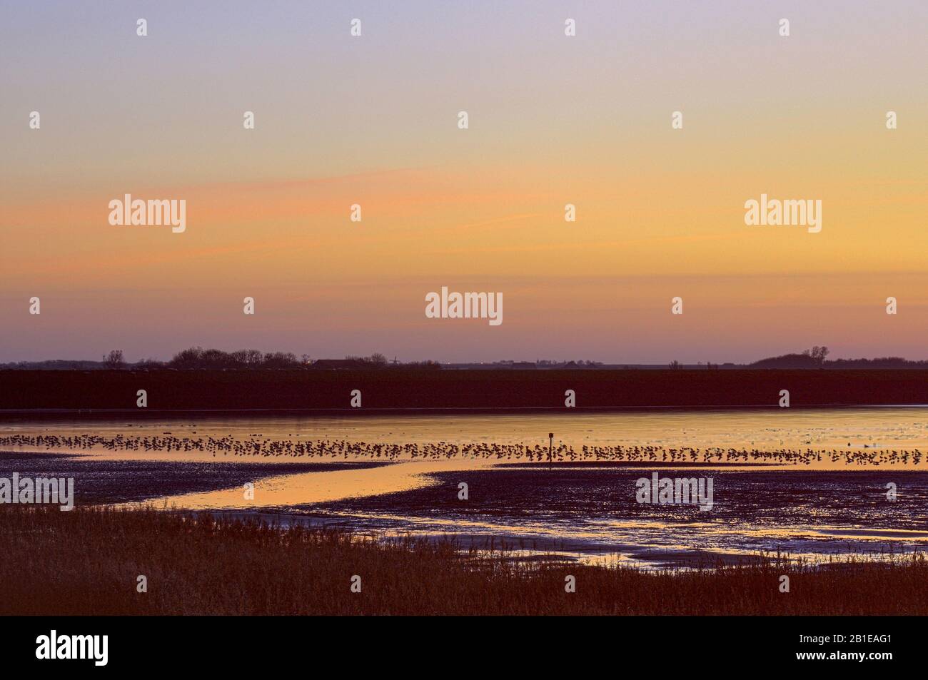 Bucht im Duinen van Texel Nationalpark vor Sonnenaufgang, Niederlande, Texel Stockfoto