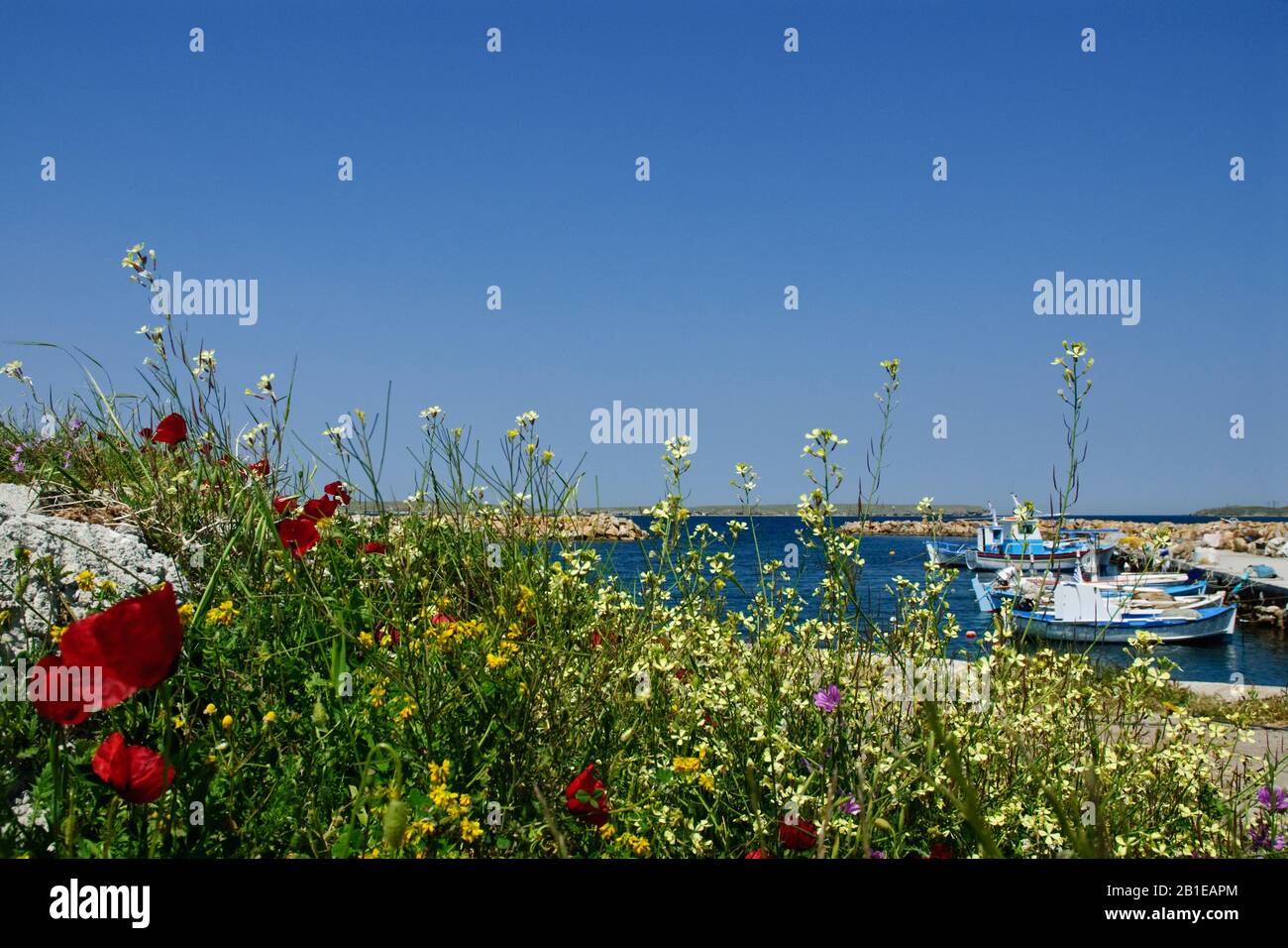 Hafen von Sigri in Lesbos, Griechenland, Lesbos Stockfoto