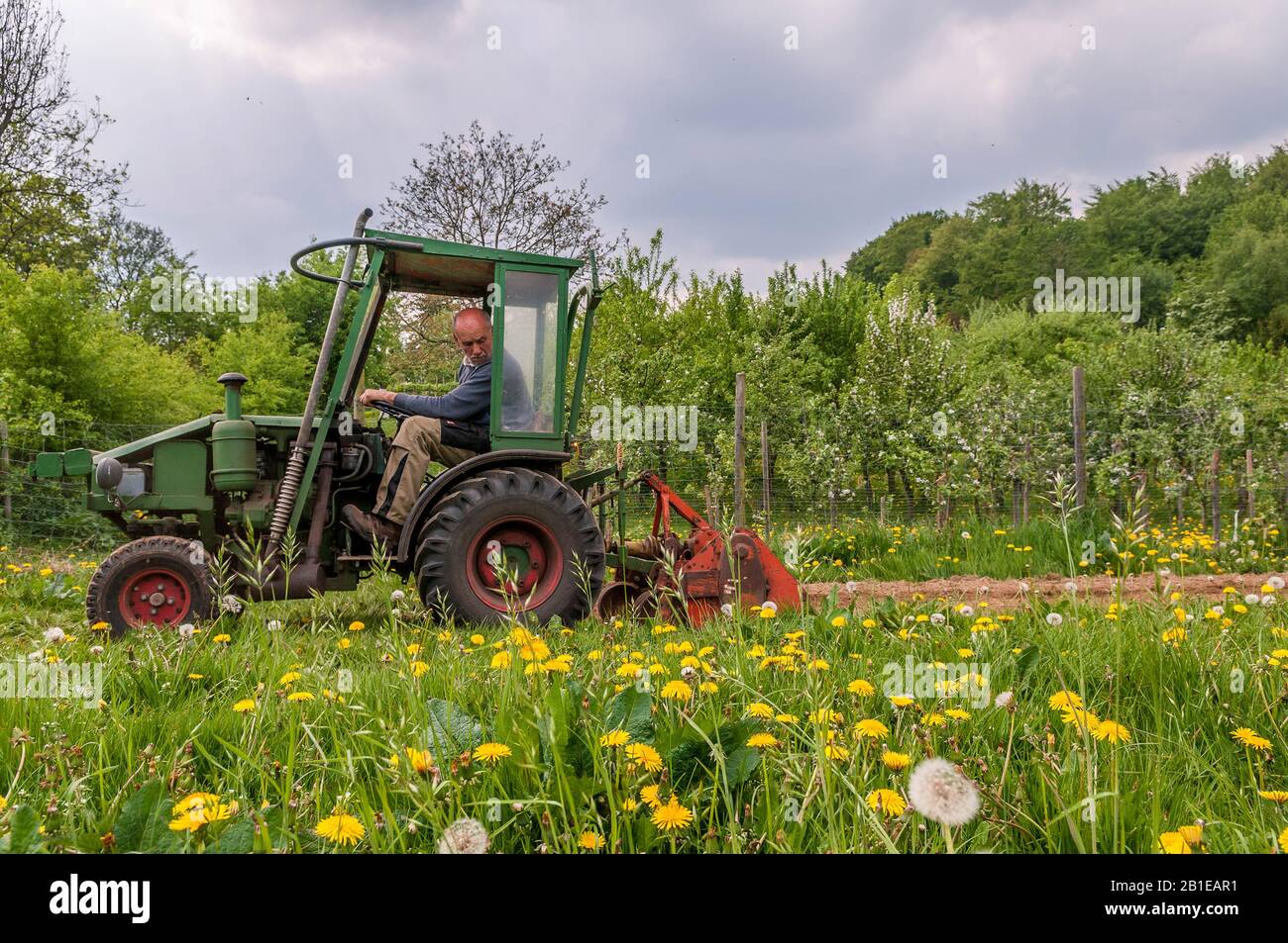 Gärtner am Traktor, Deutschland, Schleswig-Holstein Stockfoto