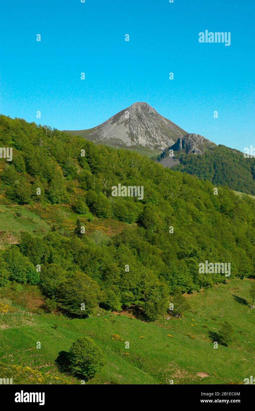 Parc des volcans d'Auvergne, Frankreich Stockfoto