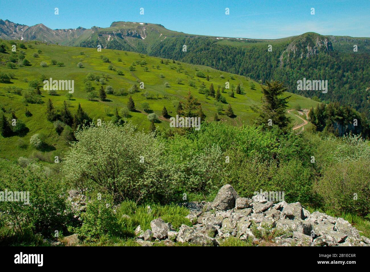 Mont-Dore, Puy de Dôme, Parc des volcans d'Auvergne, Frankreich Stockfoto