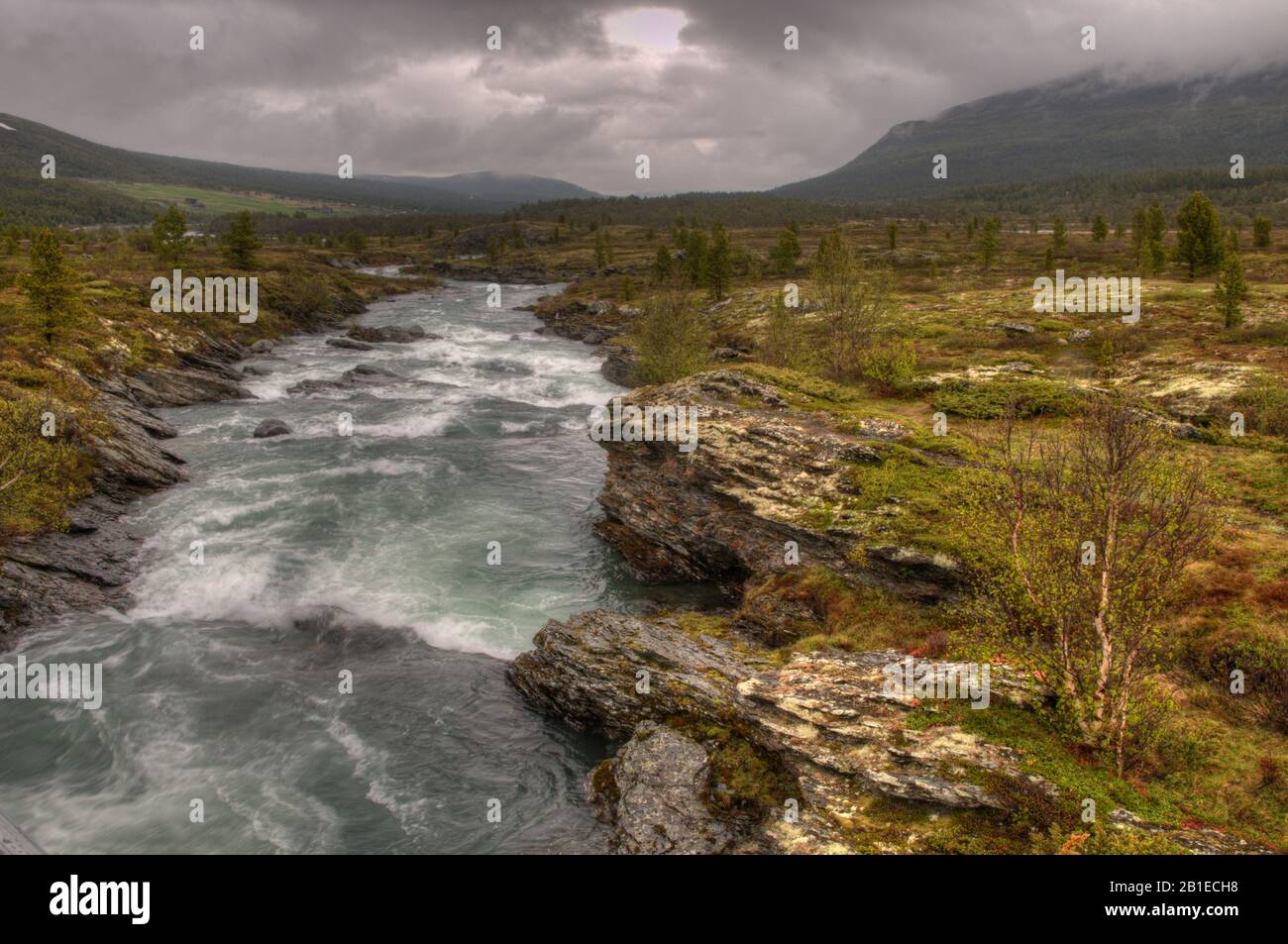Mountain Creek Jotunheimen, Norwegen, Bygdin Stockfoto