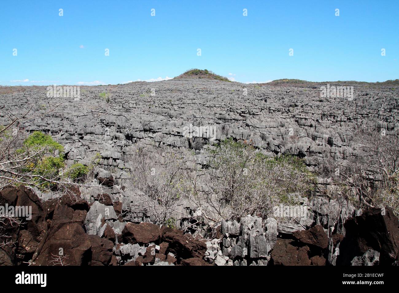 Lavastrom im fossilen Tsingy-Korallenriffe von Ankarana, 18 220 ha NP über 35 km, Nord-West-Madagaskar Stockfoto