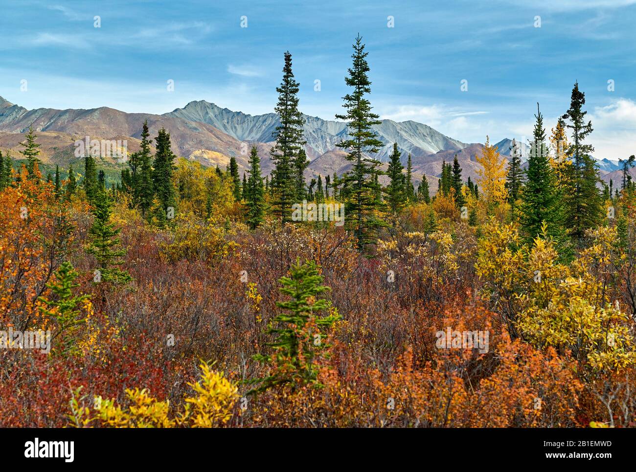 Landschaft von der Nabesna Road im Herbst, Glenn Highway: Tok nach Anchorage, Alaska Stockfoto
