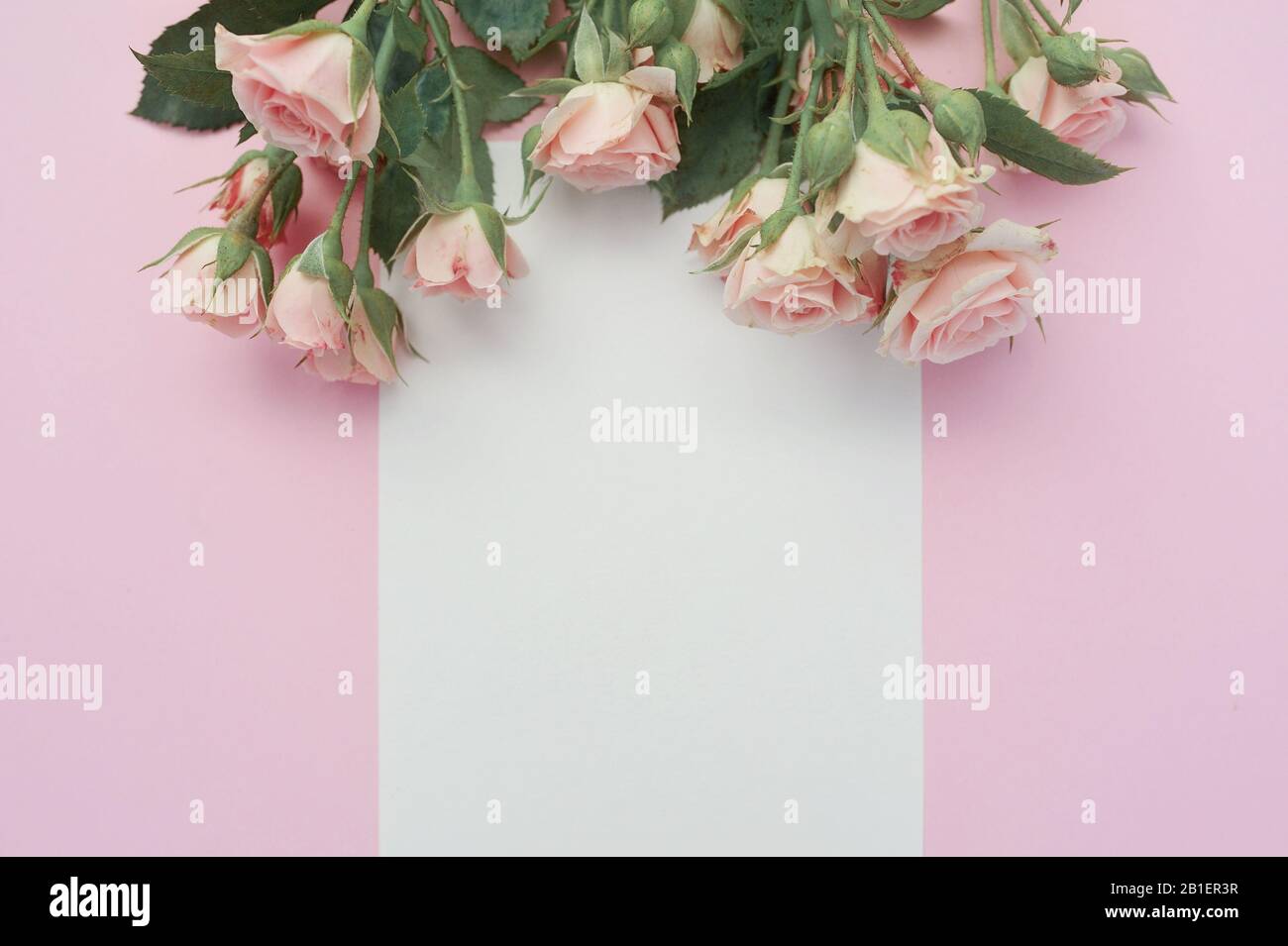 TSVATE Geburtstagskarte Zum 1. Geburtstag Für Mädchen – Mit Rosen-Design & Glitzer-Umschlag