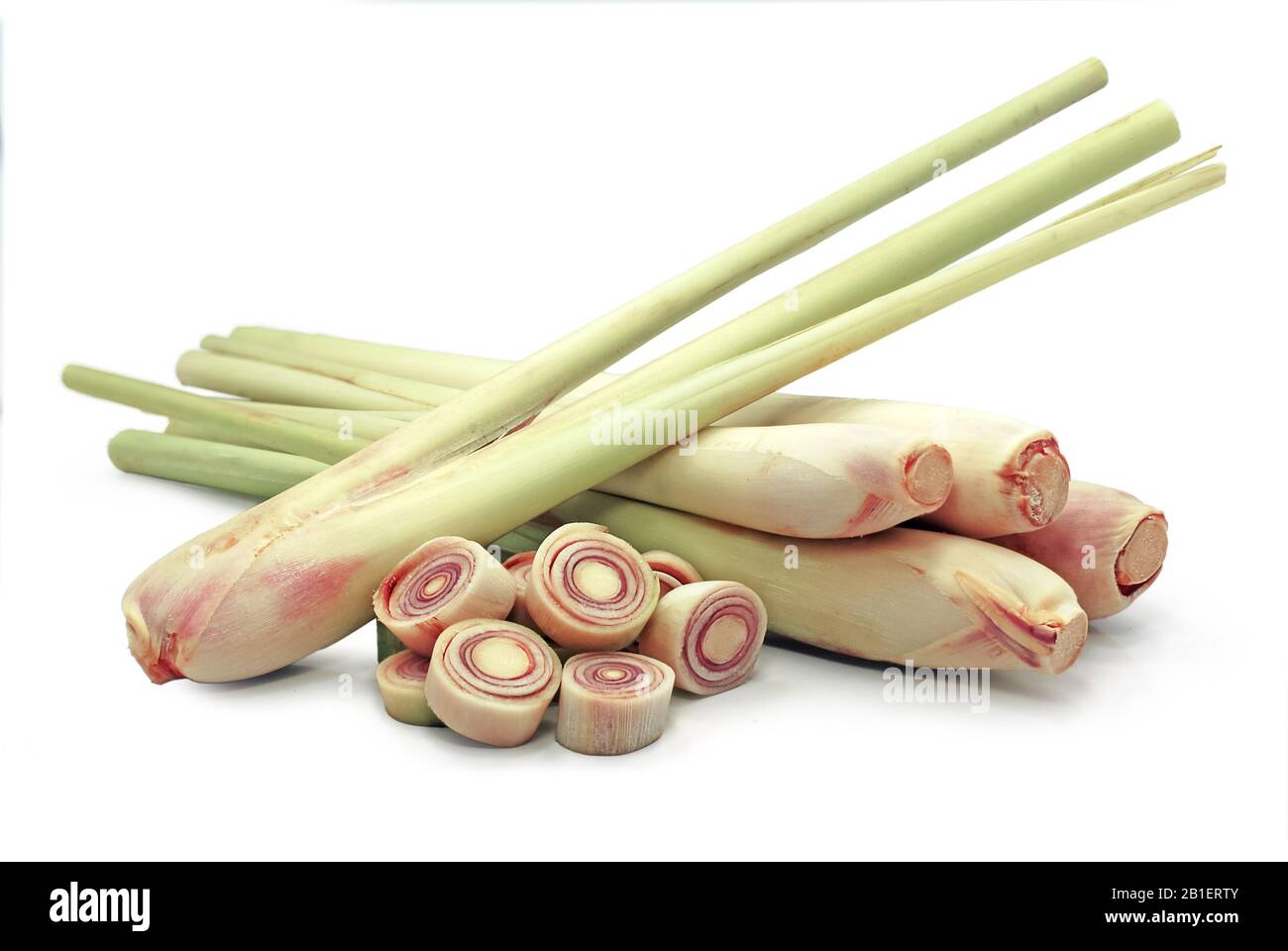 Einzelobjekt von Lemongrass isoliert auf weißem Hintergrund Stockfoto