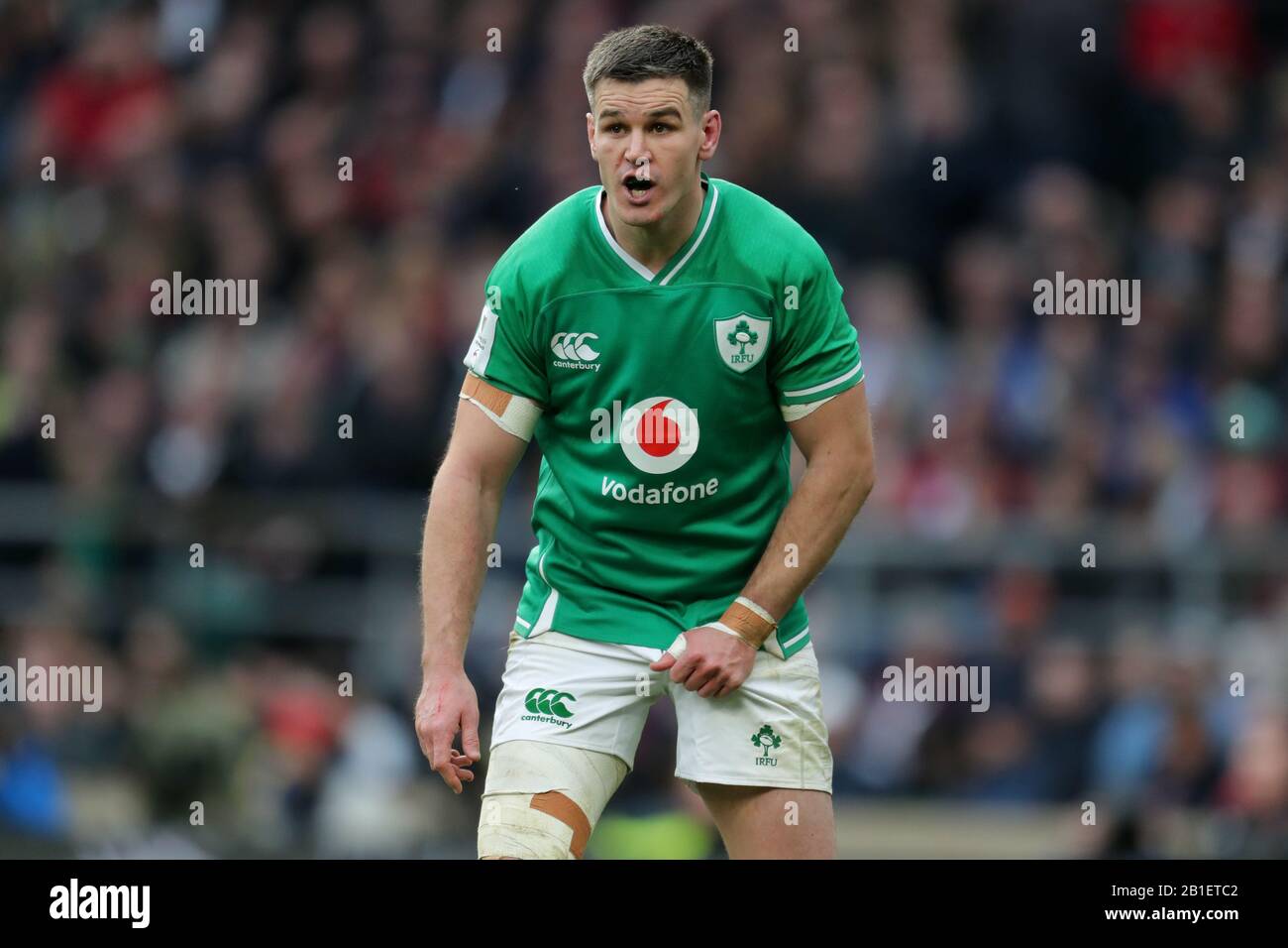 JONATHAN SEXTON, IRLAND UND LEINSTER, 2020 Stockfoto