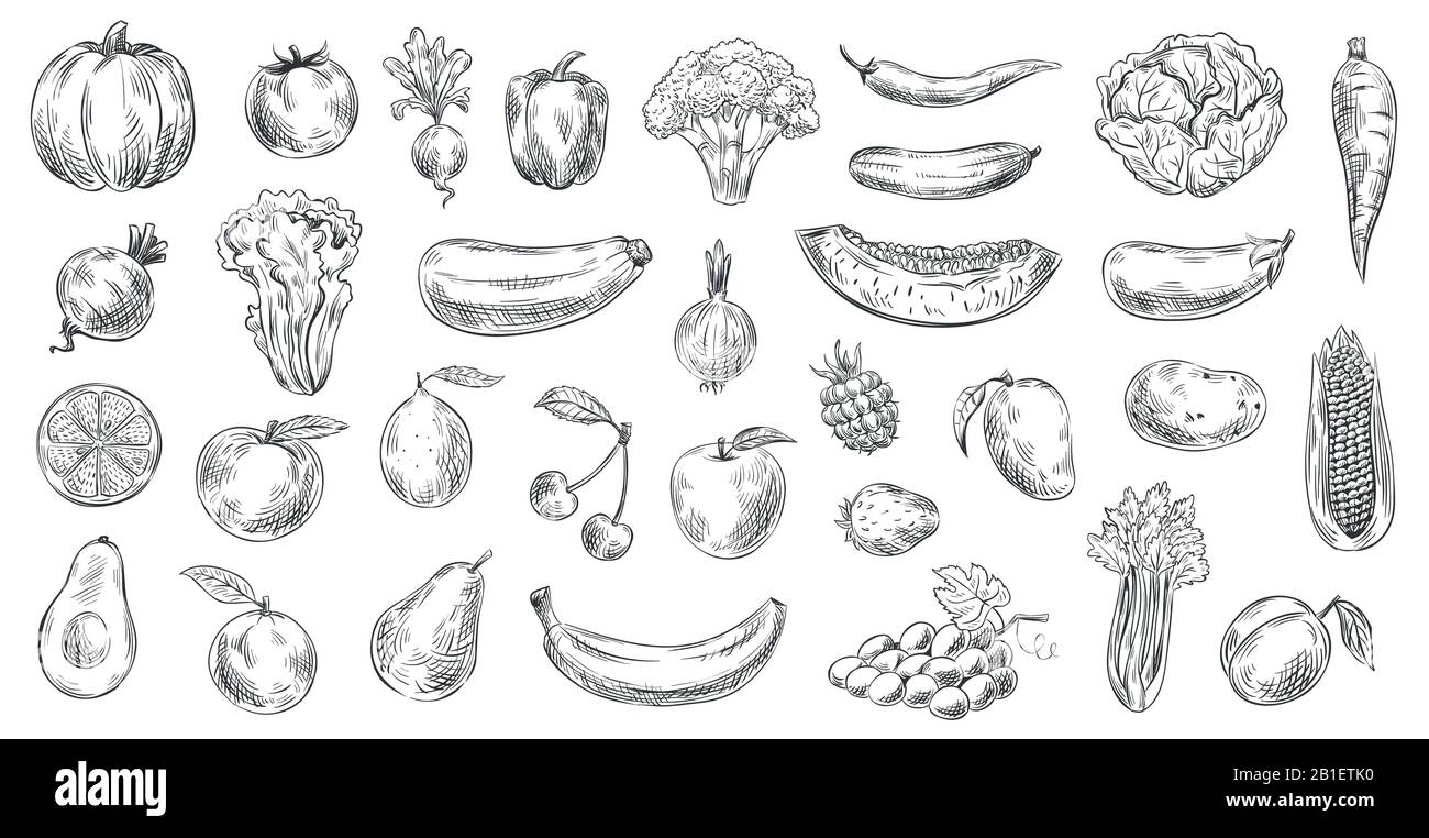 Skizzierte Gemüse und Obst. Handgezeichnete organische Lebensmittel, Gravur Gemüse und Obst Skizze Vektor Illustration Set Stock Vektor