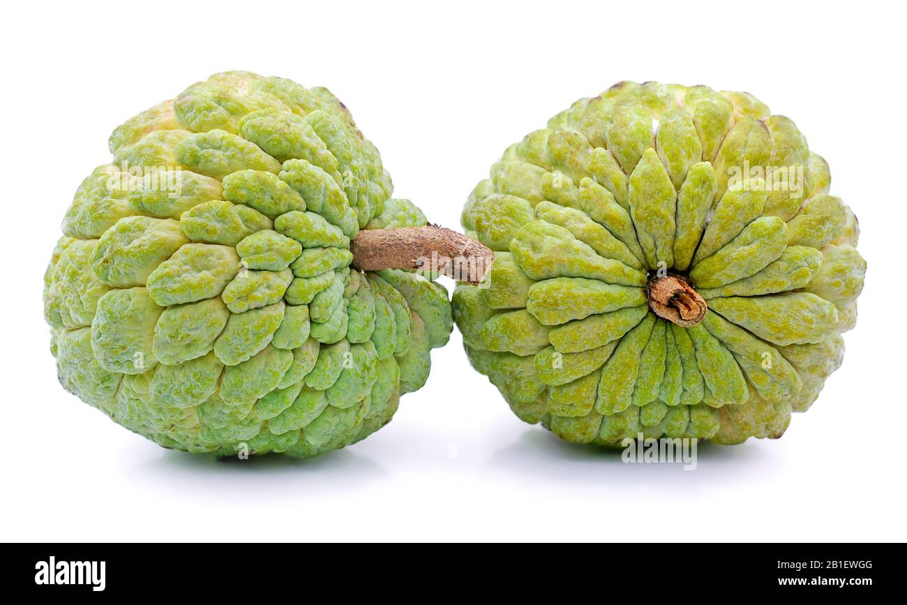 Custard Apple auf weißem Hintergrund Stockfoto