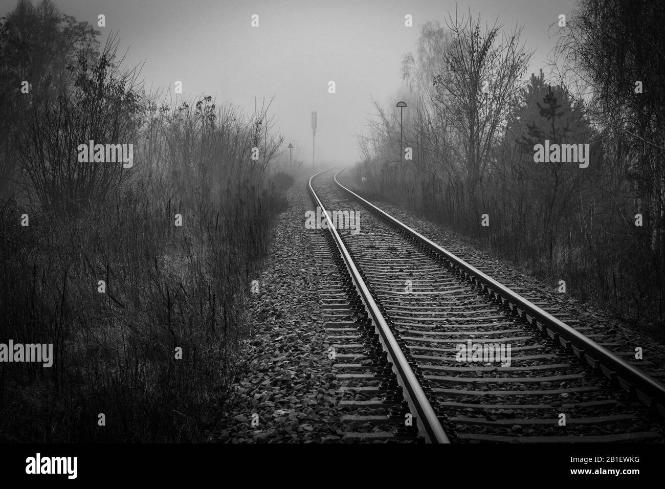 Die Perspektive der Bahngleise verschwindet in Nebel am nebligen Morgen - monochromes Bild Stockfoto