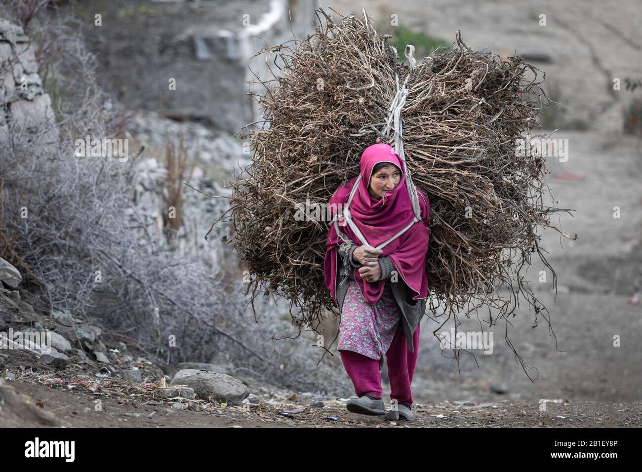 Die pakistanische Frau in traditioneller Kleidung trägt Brennholz bis zum Dorf. HUNZA-Tal, gilgit baltistan, pakistan Northern Areas Stockfoto