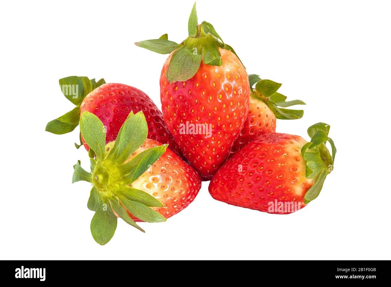 Die Erdbeere isoliert auf weißem Hintergrund Stockfoto