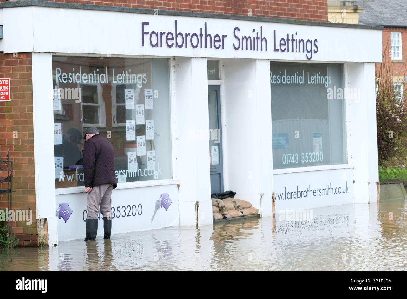 Shrewsbury, Shropshire, Großbritannien - Dienstag, 25. Februar 2020 - EIN Mann betrachtet Immobilien in einem Fenster der Immobilienmakler unter den Überschwemmungen im Stadtteil Coleham der Stadt. Der Fluss Severn wird später heute seinen Höhepunkt erreichen, und für Shrewsbury gilt derzeit eine "Severn Flood Warning". Foto Steven May / Alamy Live News Stockfoto