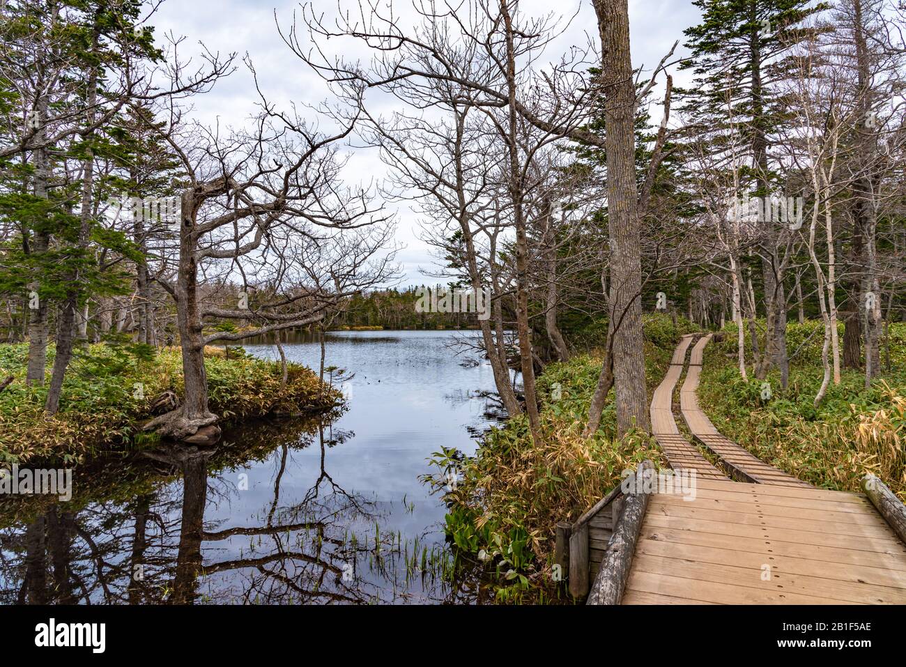 Der Dritte See von Shiretoko Goko Five Lakes Area. Rolling Mountain Range und Woodland im Frühling. Shiretoko-Nationalpark. Shari, Hokkaido, Japan Stockfoto