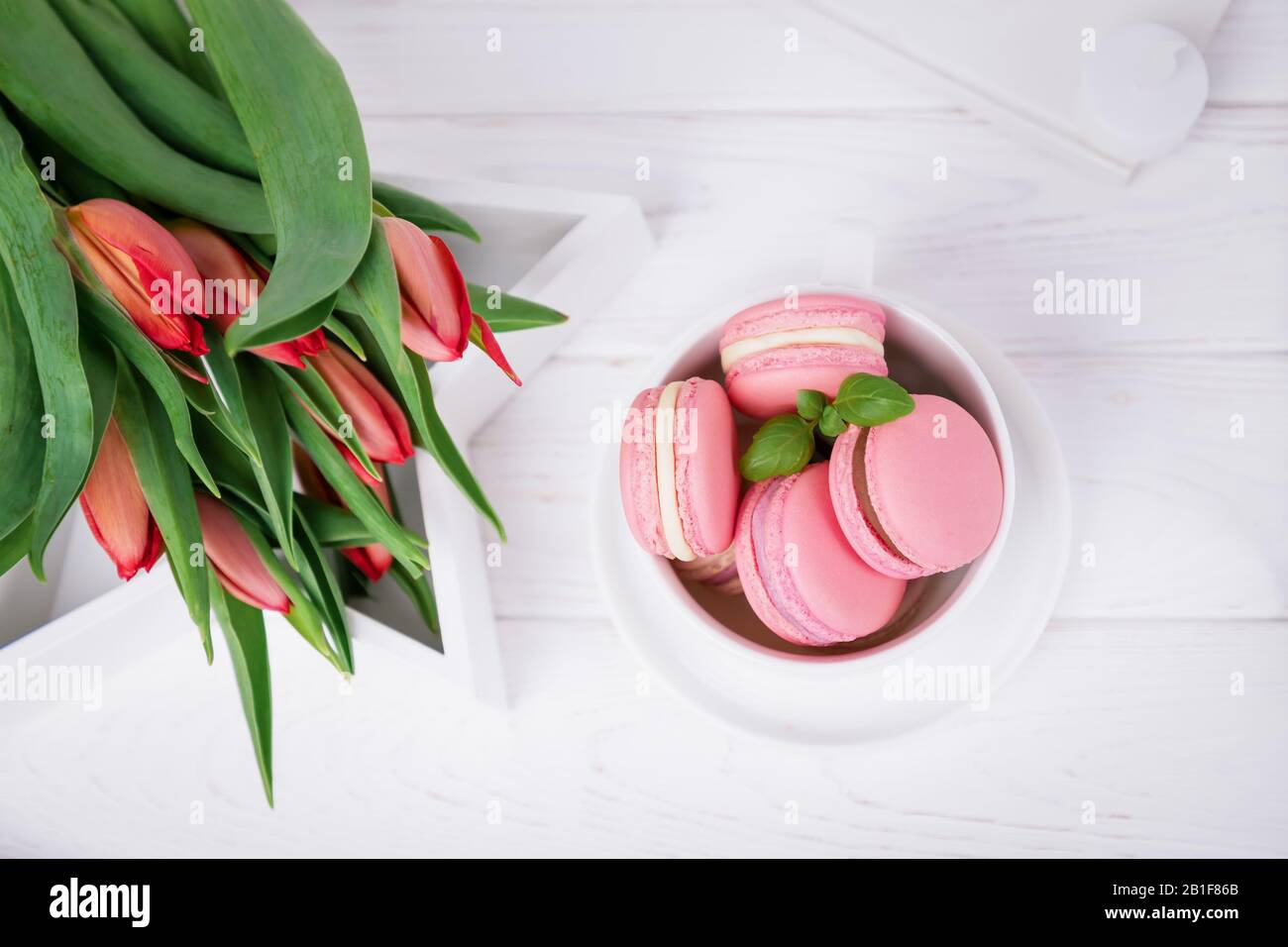 Hausgemachtes französisches Dessert, pinkfarbene Makronen oder Makronen und Federtulpen auf weißem Hintergrund, Kopierraum Stockfoto
