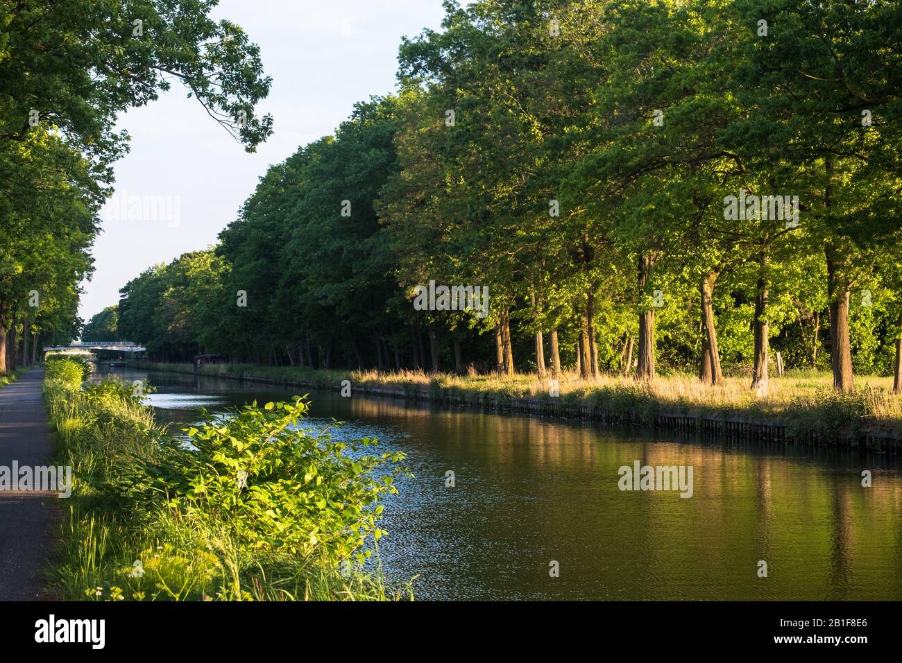Friedlicher Abschnitt des Dessel-Turnhout-Schoten-Kanals. Ein Wander- und Radweg liegt am Wasser entlang, reiche grüne Bäume runden das Bild ab. Stockfoto