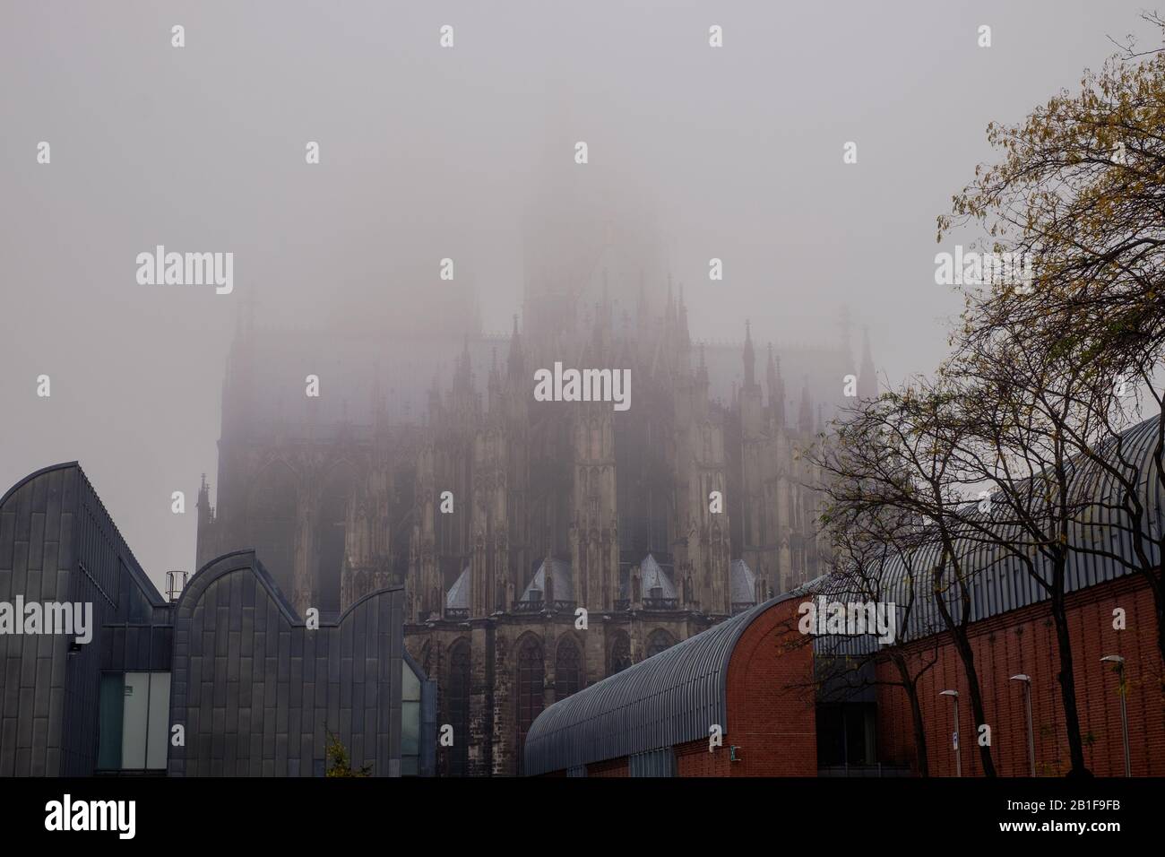 Die Rückseite des Kölner Doms ist nebelbedeckt. Die Turmspitzen sind fast unsichtbar. Stockfoto