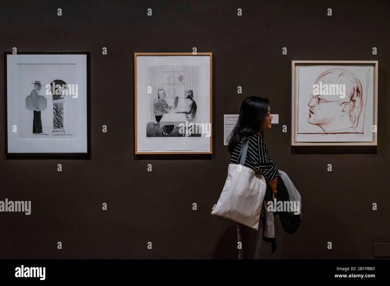 London, Großbritannien. Februar 2020. Der Student: Hommage an Picasso und andere Werke - David Hockney: Zeichnung aus Dem Leben, eine neue Ausstellung in der National Portrait Gallery. Es erkundet Hockney als Zeichner von den 1950er bis zur Gegenwart, indem es sich auf Darstellungen von sich selbst und einer kleinen Gruppe von Sittern in seiner Nähe konzentriert. Mit rund 150 Werken aus öffentlichen und privaten Sammlungen auf der ganzen Welt sowie von der David Hockney Foundation und dem Künstler. Sie läuft vom 27. Februar bis 28. Juni 2020. Credit: Guy Bell/Alamy Live News Stockfoto