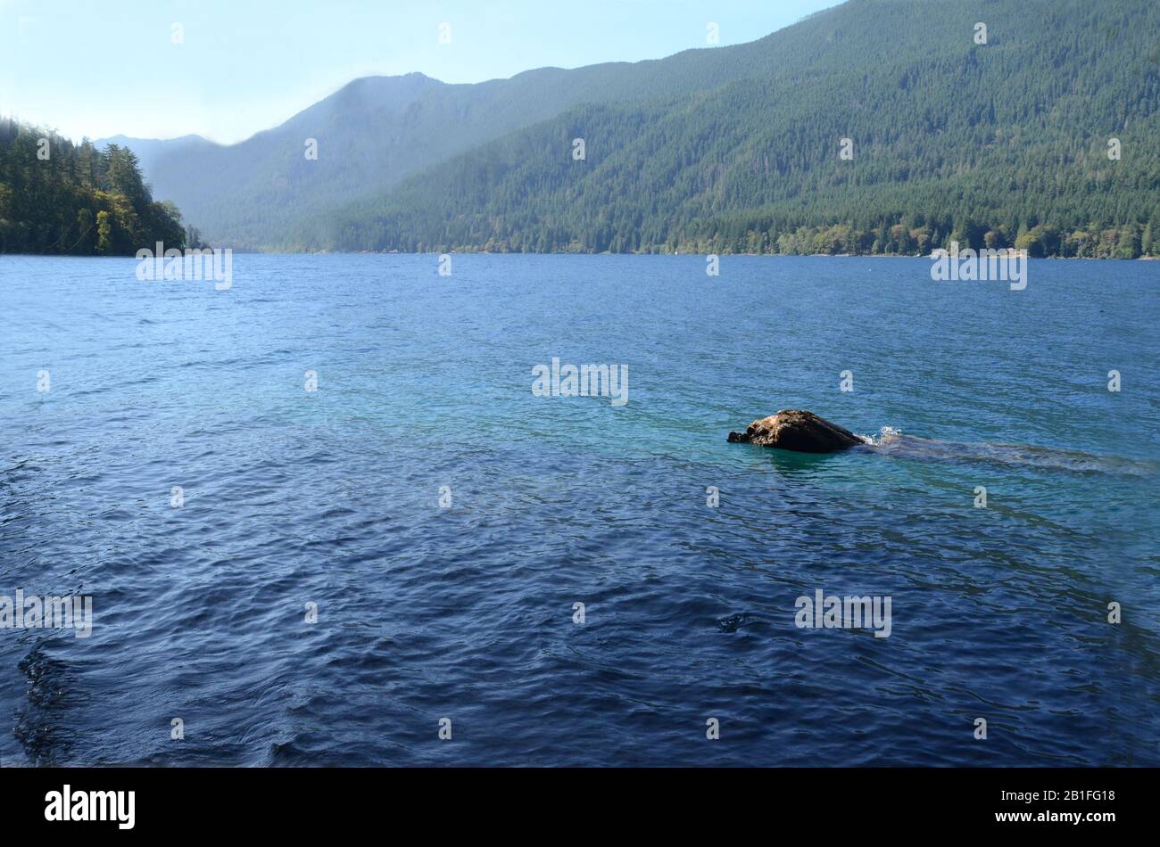 PARKS UND ERHOLUNG: VOLUME 6-Ike Kinswa State Park ist ein öffentliches Erholungsgebiet im Bundesstaat Washington, eines von 142 im gesamten schönen Bundesstaat. Stockfoto