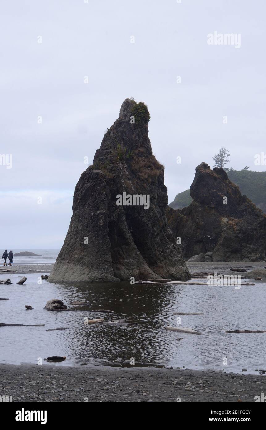 Schattierungen von grau: grau Obertöne verbrauchen Ruby Beach im Staat Washington. Stockfoto