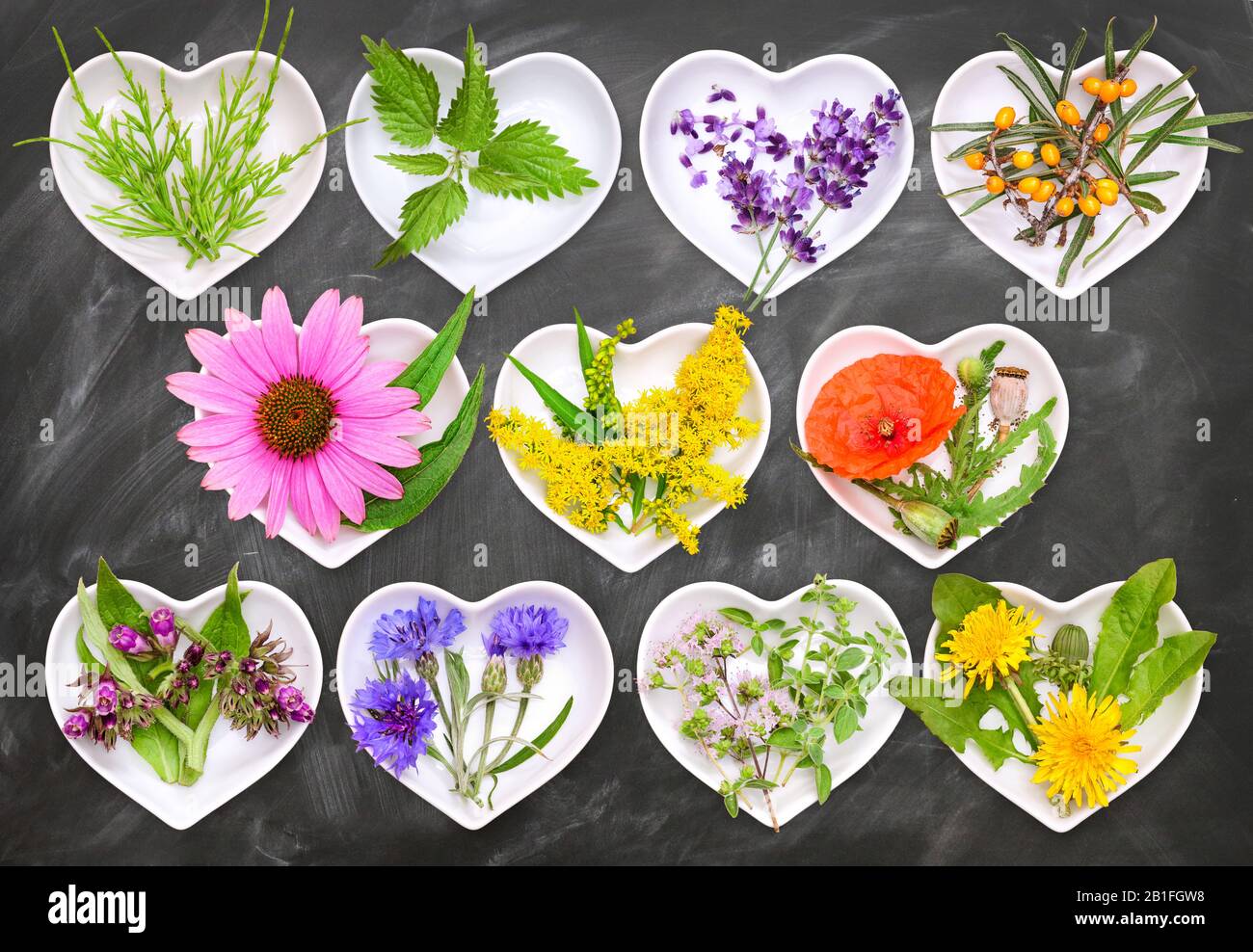 Alternative Medizin mit Heilpflanzen 2 Stockfoto