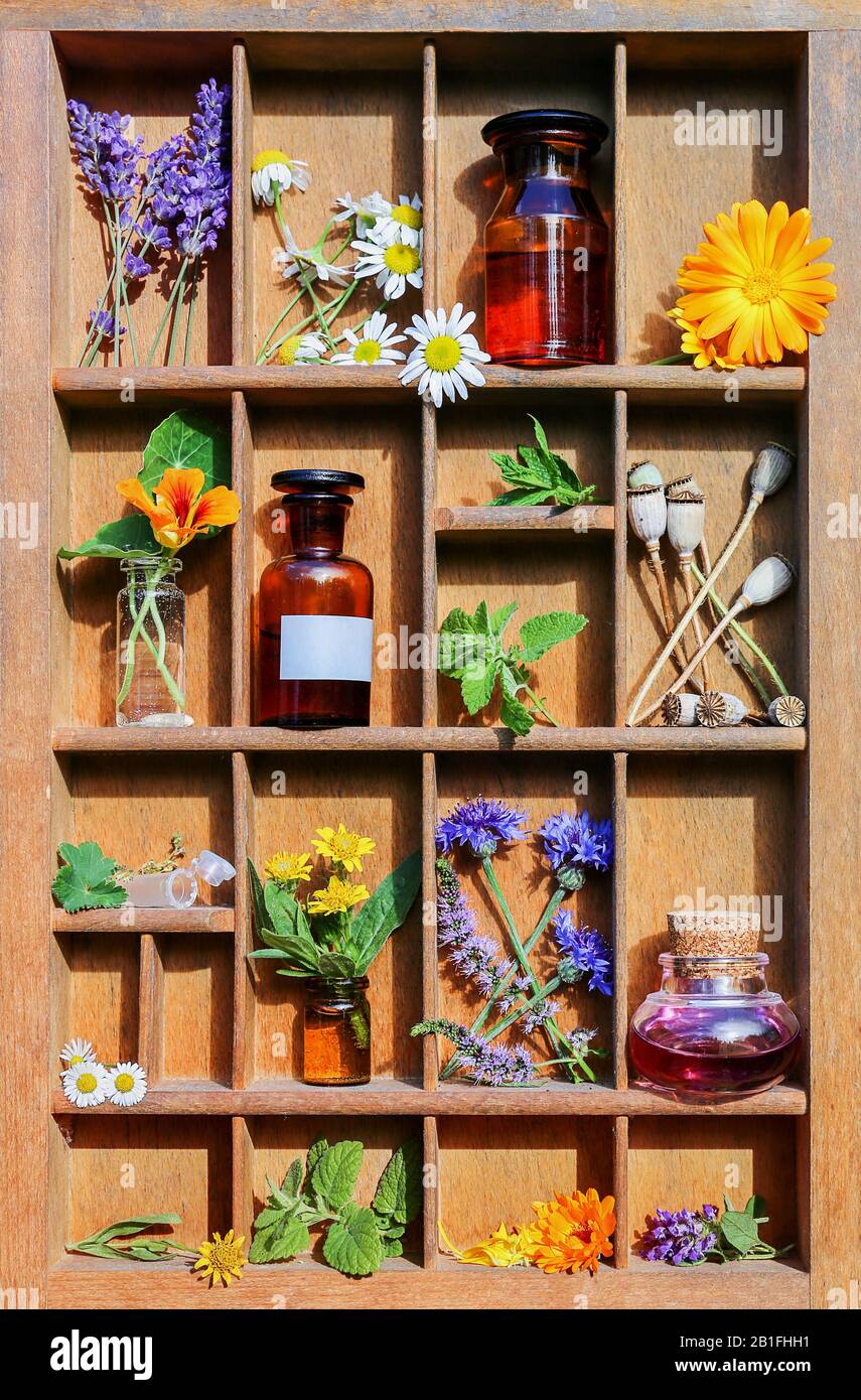 Medizinische Anlagen in einem Briefkasten Stockfoto