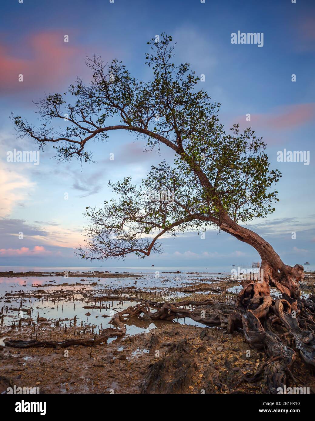 Wunderbare Landschaftsfotos auf Batam Bintan Island Indonesien Stockfoto