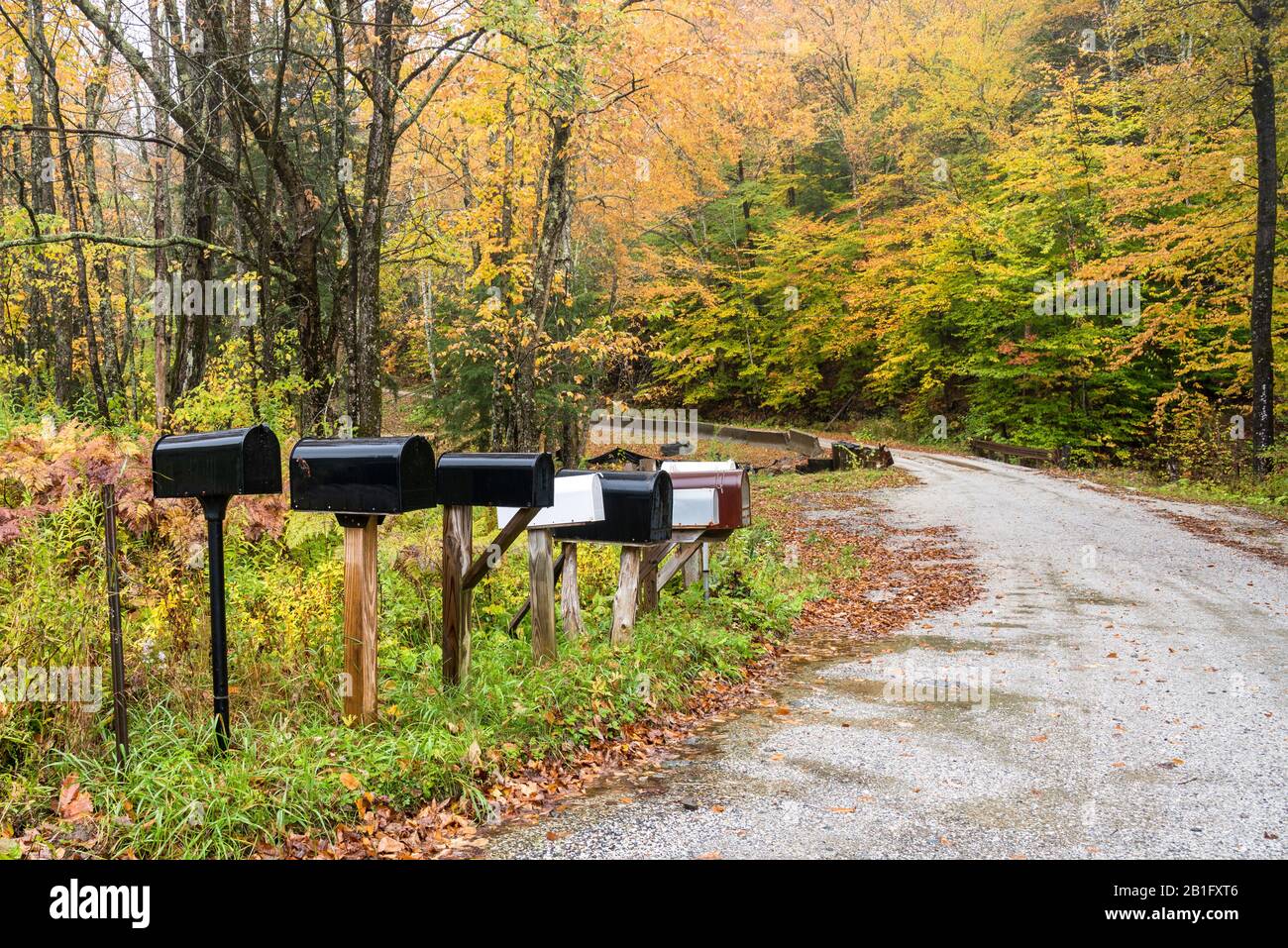 Traditionelle amerikanische Metallfächer in einer Reihe entlang einer Bergstraße, die an einem regnerischen Herbsttag mit Bäumen auf dem Gipfel des Herbstlaubs gesäumt ist Stockfoto