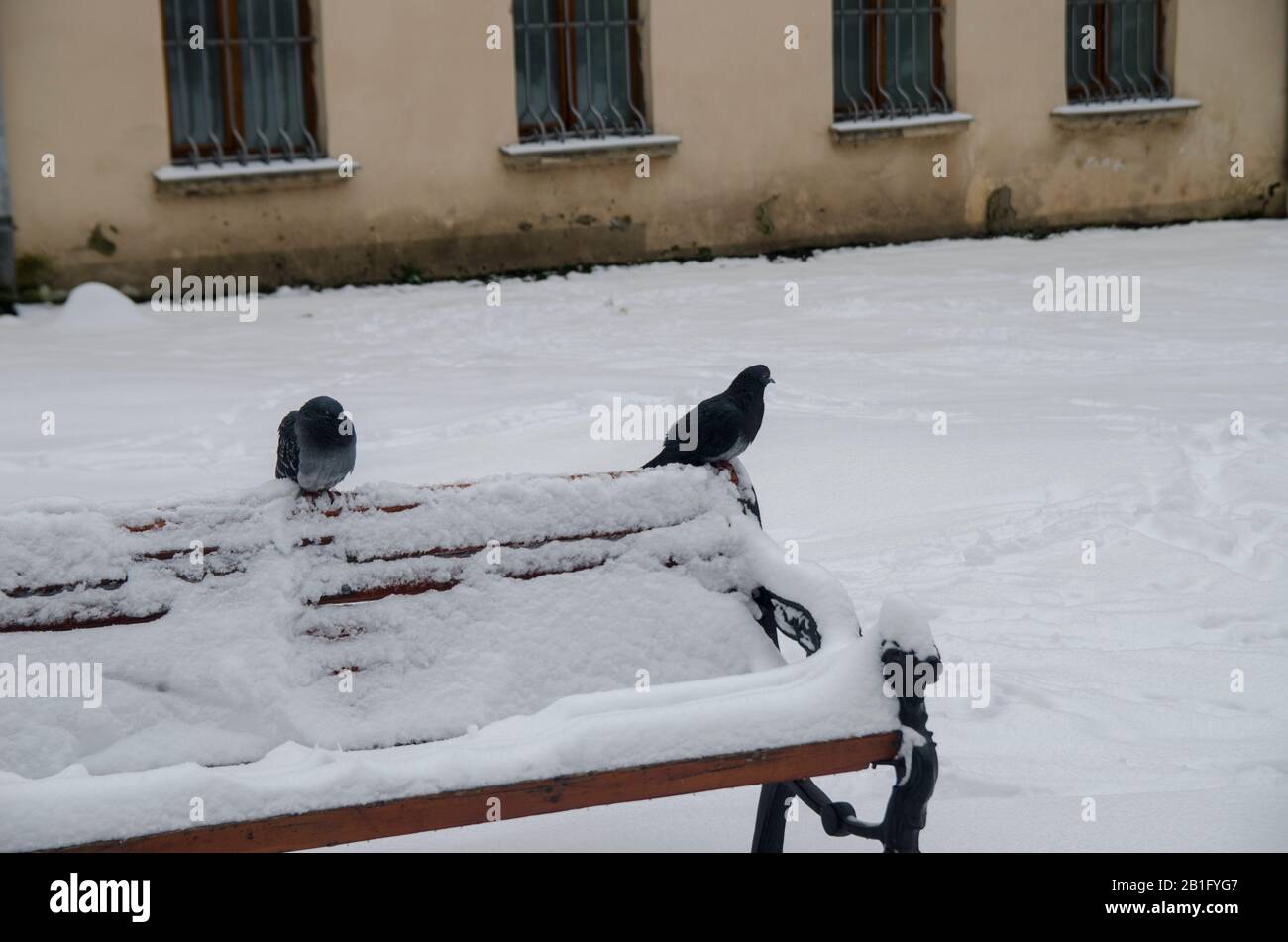 Schneebank im Winter Stockfoto